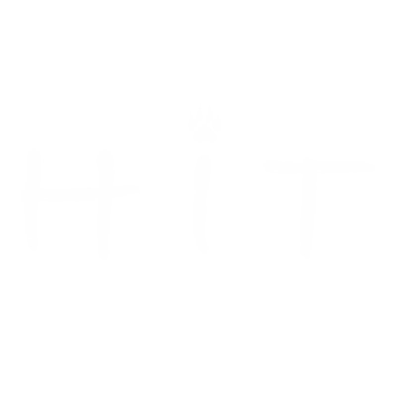 HiT logo