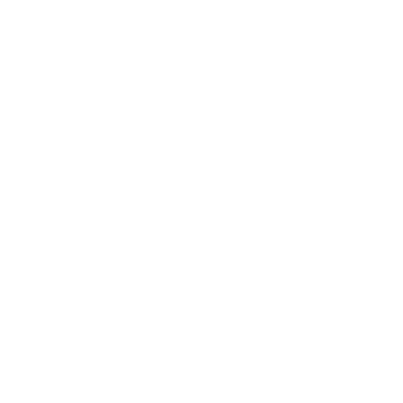 Pik Twik logo