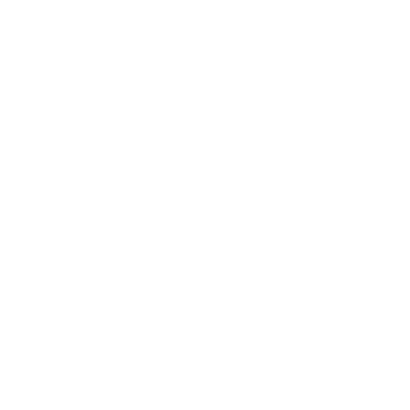 Van Cat logo